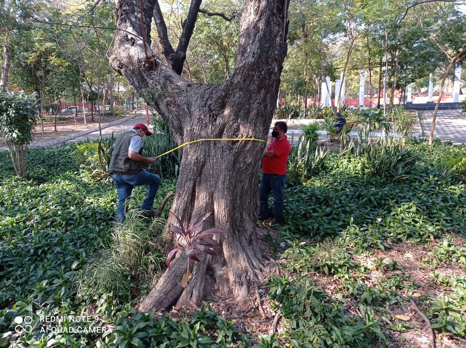 WhatsApp Image 2021-08-17 at 14.43.40 (2)