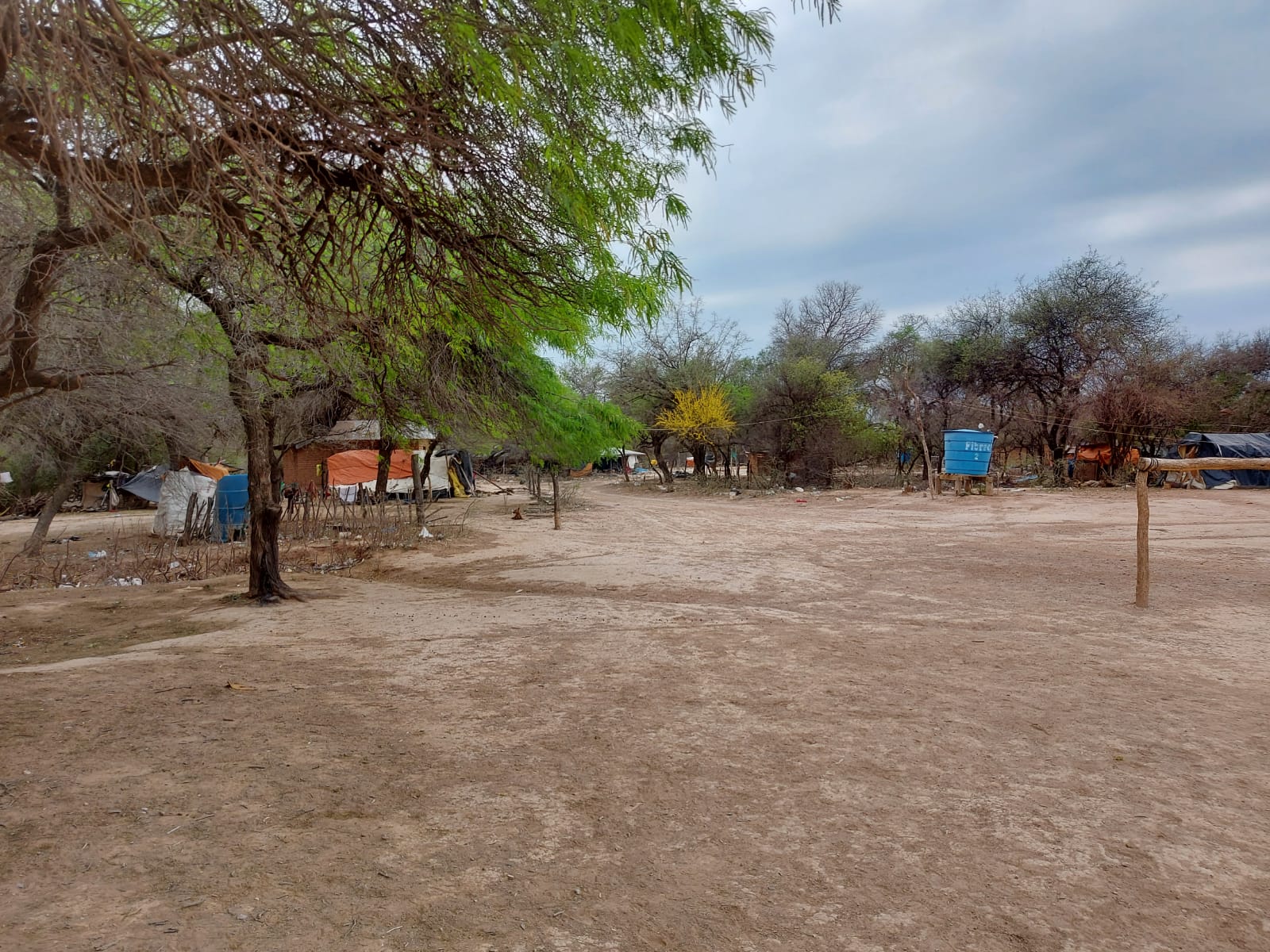 WhatsApp Image 2021-08-26 at 10.31.44