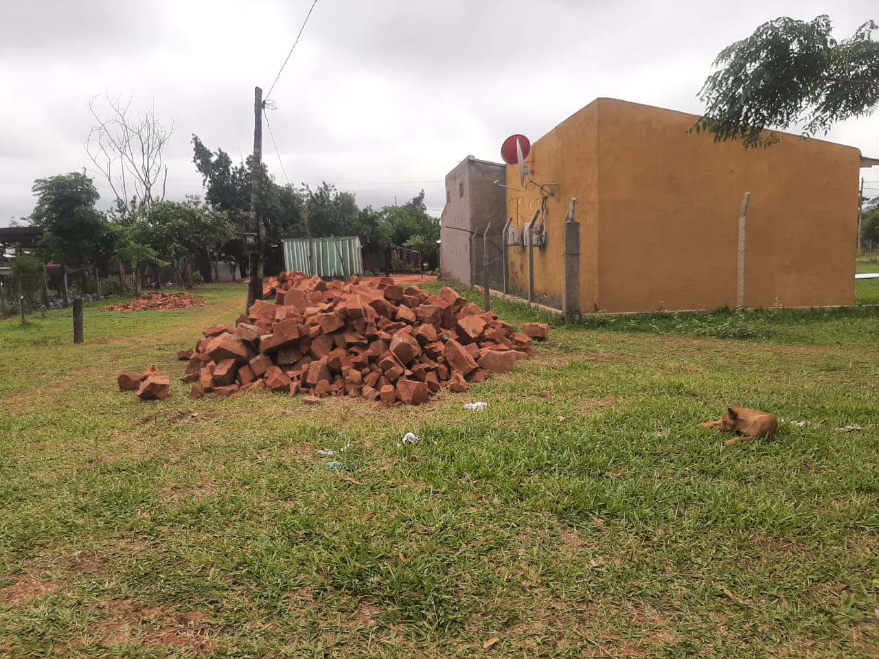 WhatsApp Image 2021-10-08 at 11.53.26 (1)