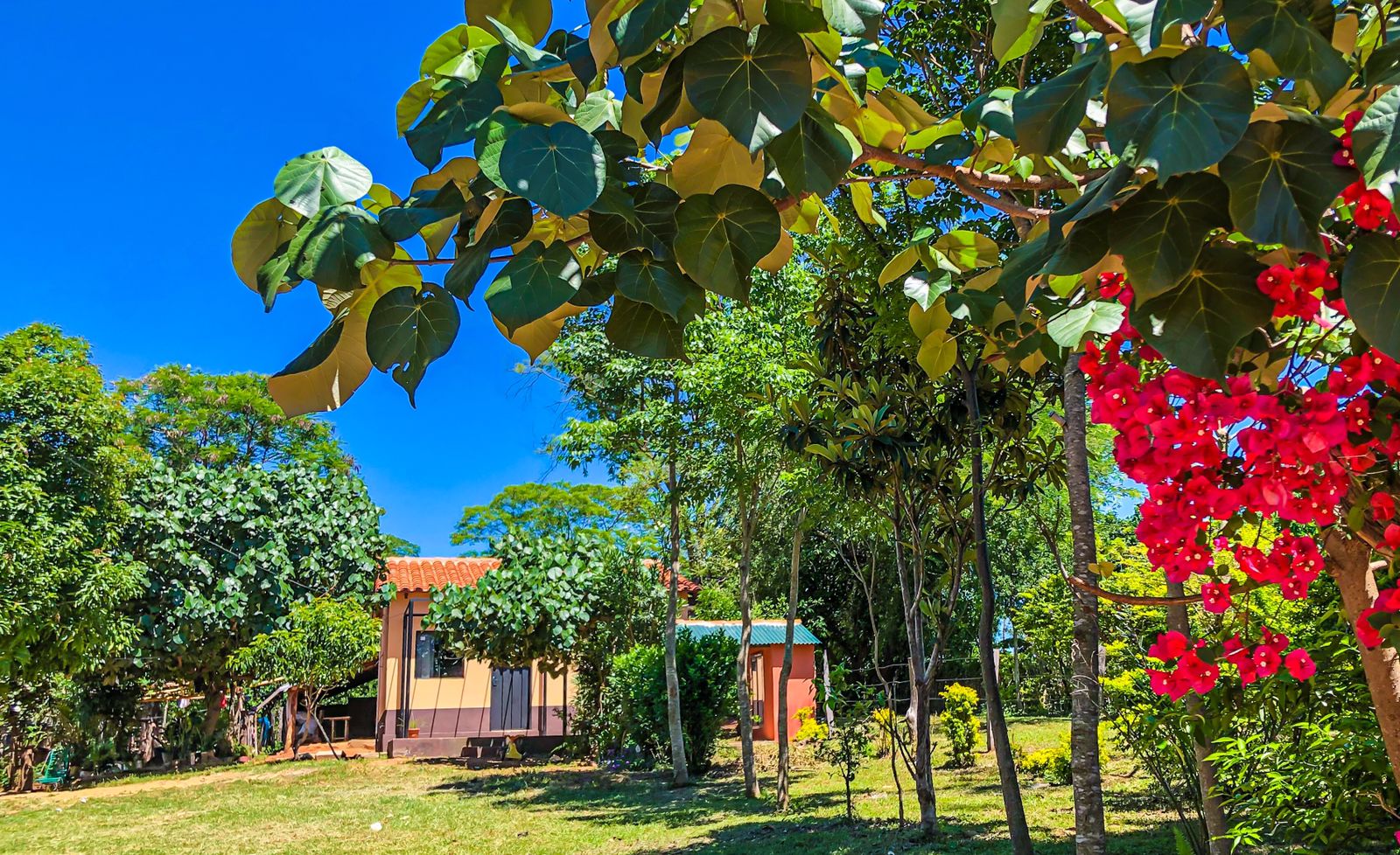 WhatsApp Image 2021-10-29 at 12.57.24 (1)