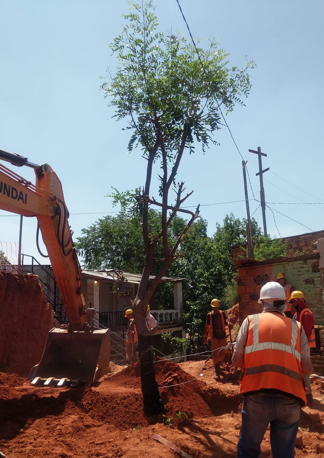 WhatsApp Image 2021-11-12 at 12.12.25 (1)