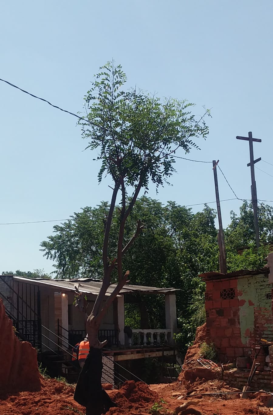 WhatsApp Image 2021-11-12 at 12.12.25 (2)