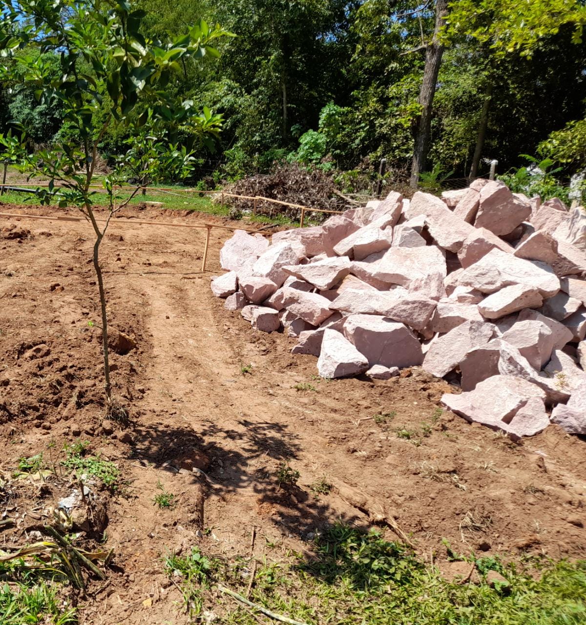 WhatsApp Image 2022-02-14 at 10.28.03