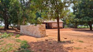 WhatsApp Image 2022-02-18 at 12.14.29 PM (1)