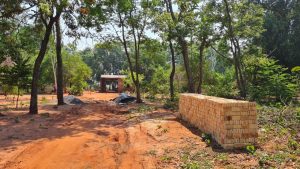 WhatsApp Image 2022-02-18 at 12.14.30 PM (1)