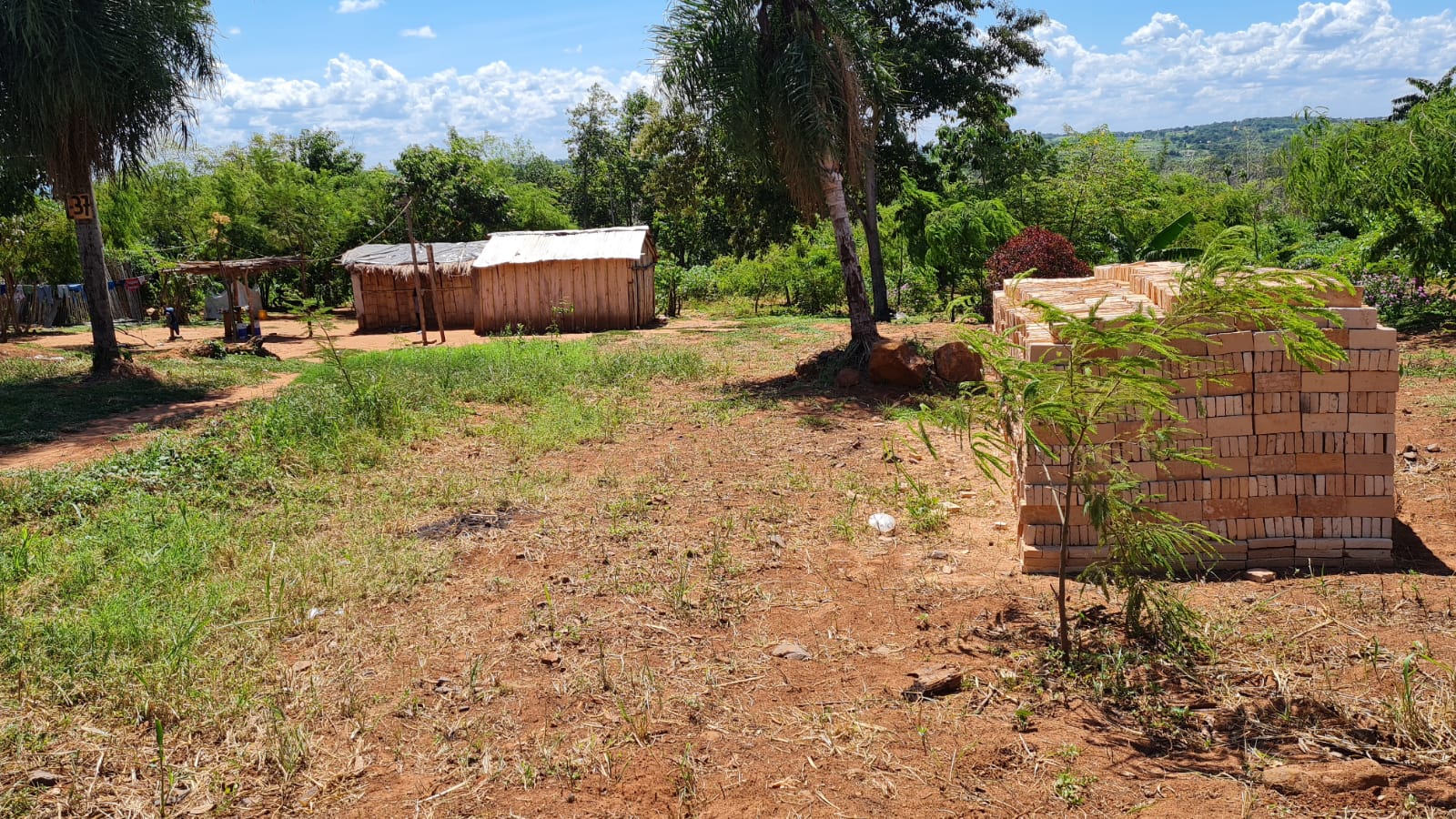 WhatsApp Image 2022-02-25 at 08.06.53 (1)