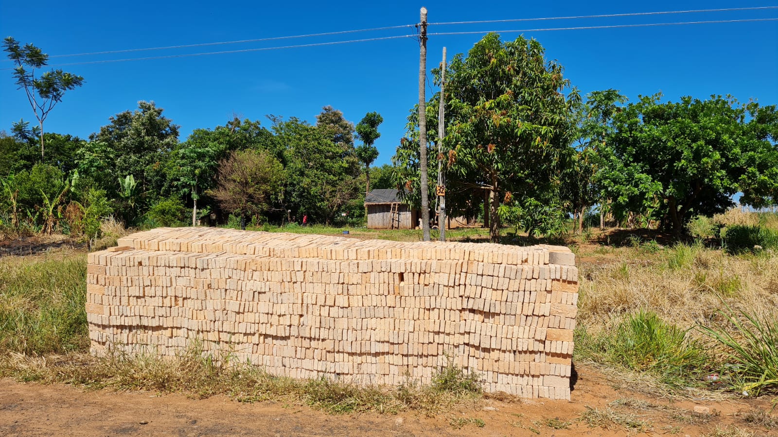 WhatsApp Image 2022-02-25 at 08.06.56 (1)