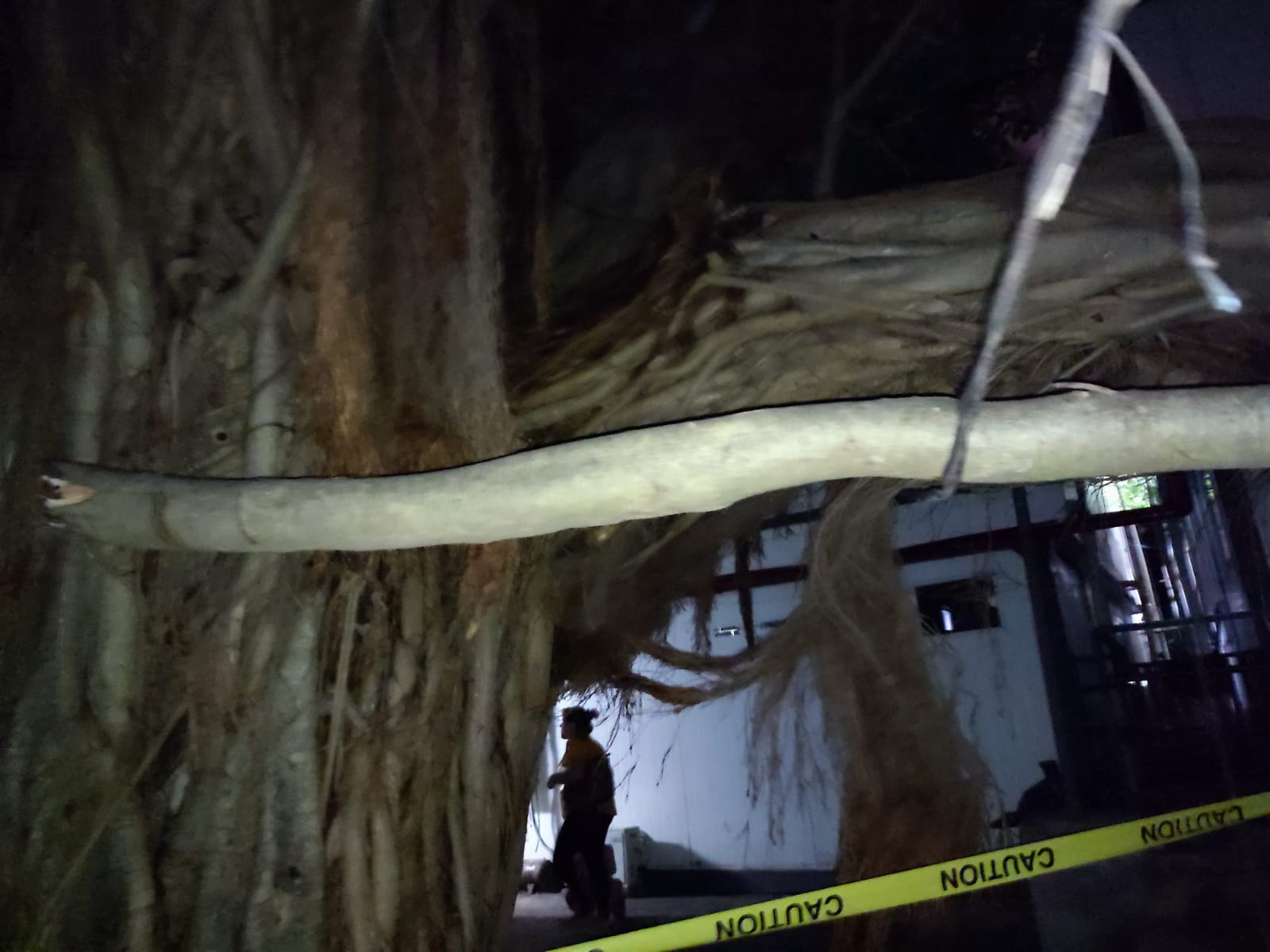 WhatsApp Image 2022-03-01 at 9.30.27 PM