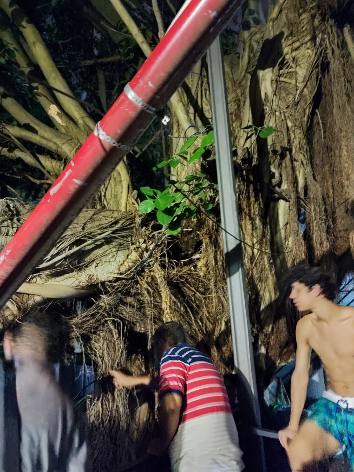 WhatsApp Image 2022-03-01 at 9.30.28 PM (2)