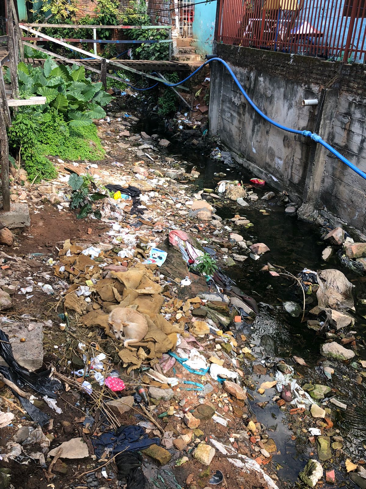 WhatsApp Image 2022-05-18 at 10.07.30 AM (3)