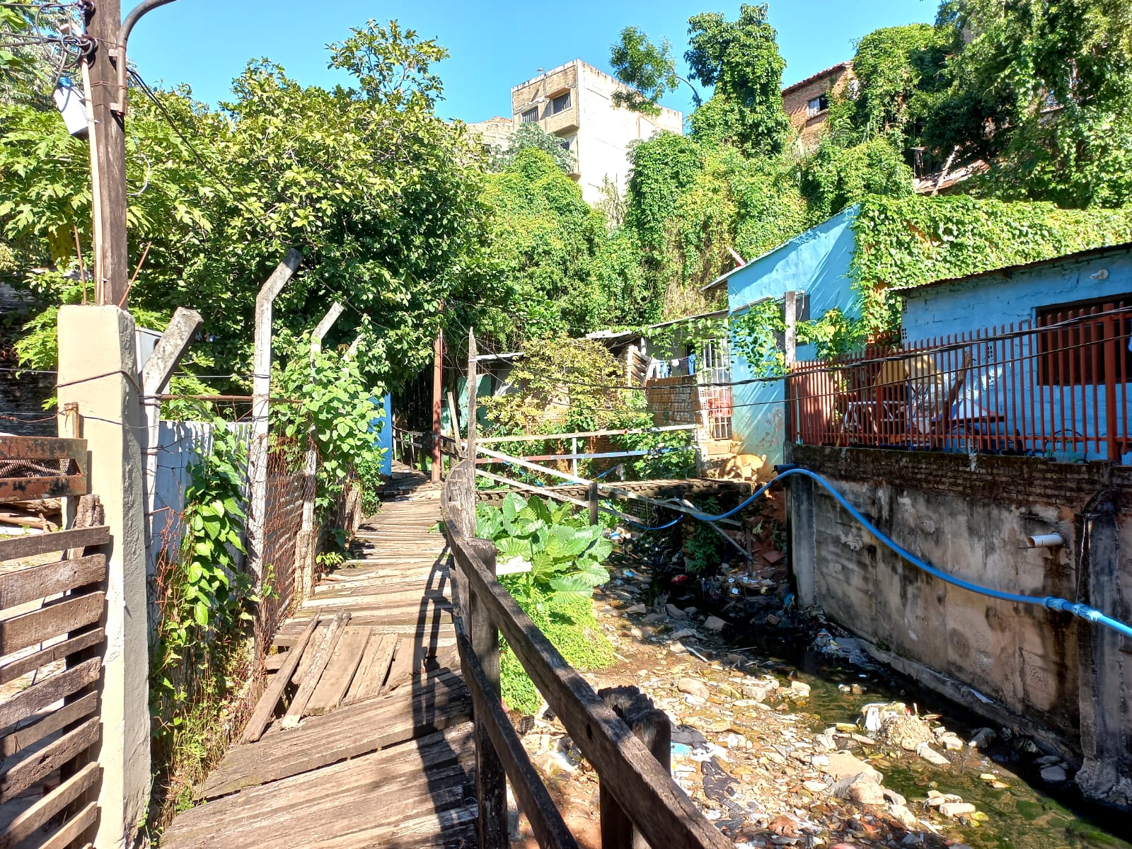 WhatsApp Image 2022-05-18 at 10.07.31 AM