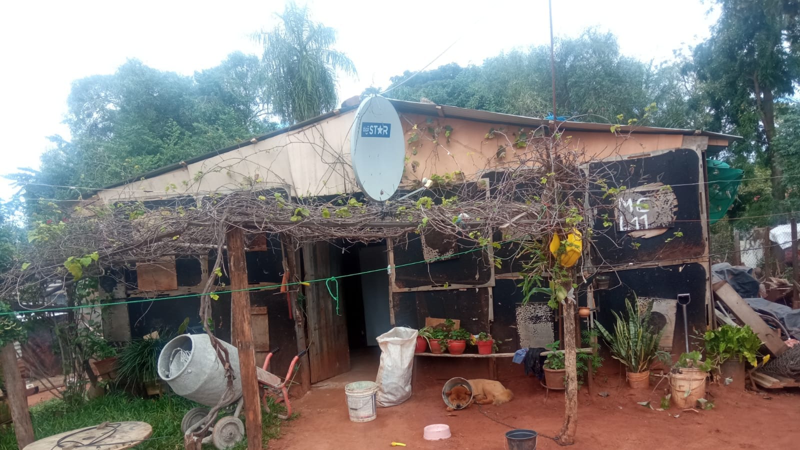 WhatsApp Image 2022-06-01 at 10.48.16 AM