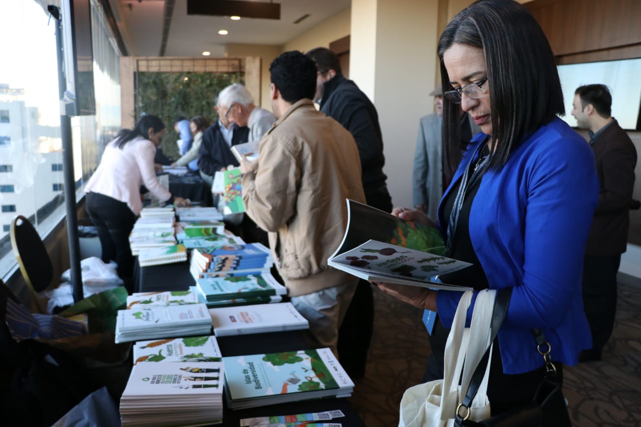 WhatsApp Image 2023-07-18 at 09.36.59