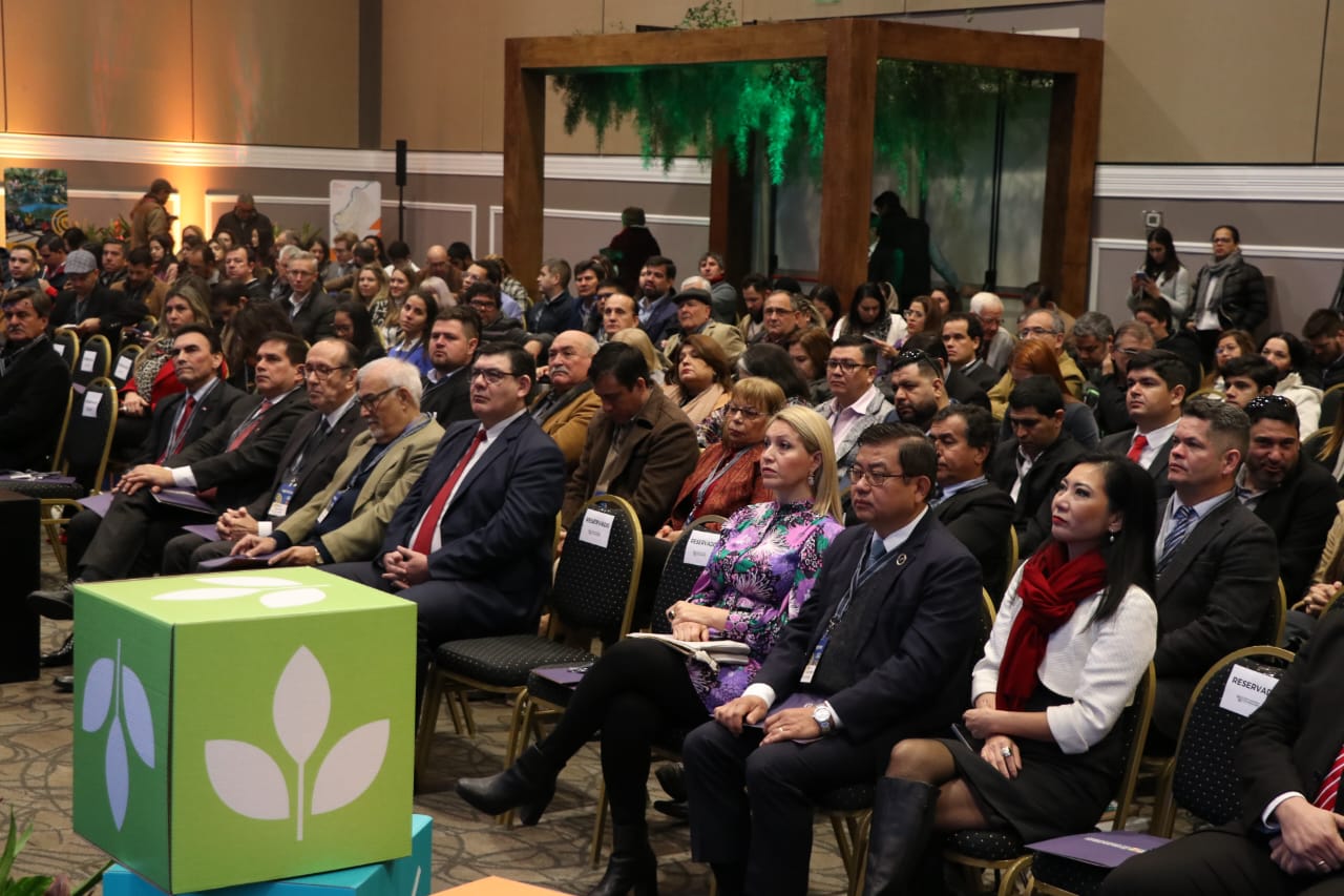 WhatsApp Image 2023-07-18 at 09.38.38