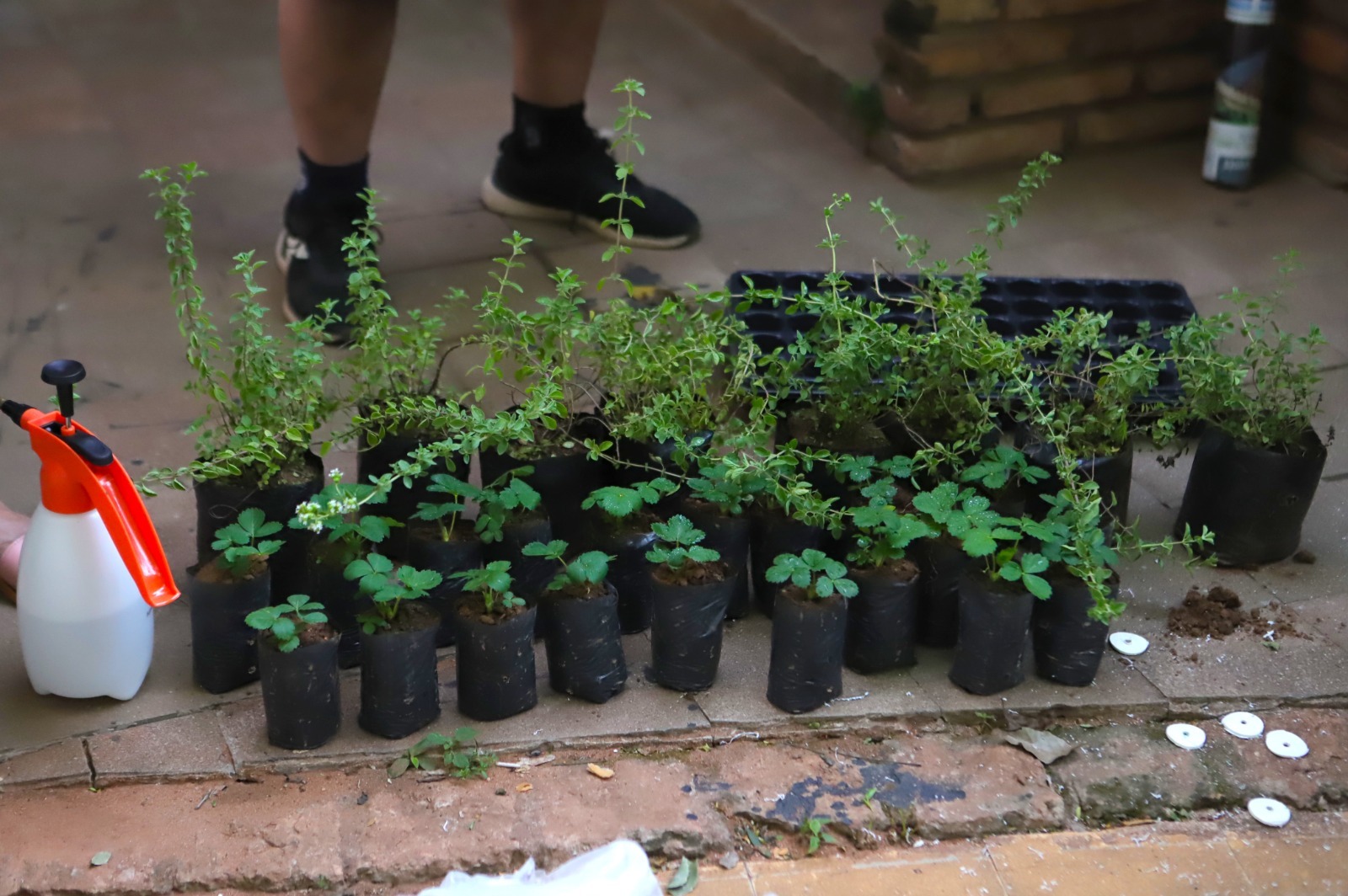 WhatsApp Image 2023-10-25 at 10.46.23