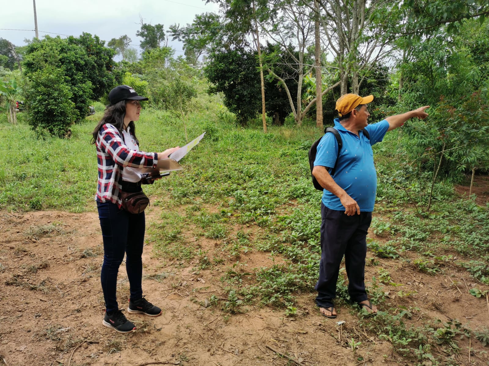 cf899c76-4a21-4cee-9226-c4e6dc2bf051