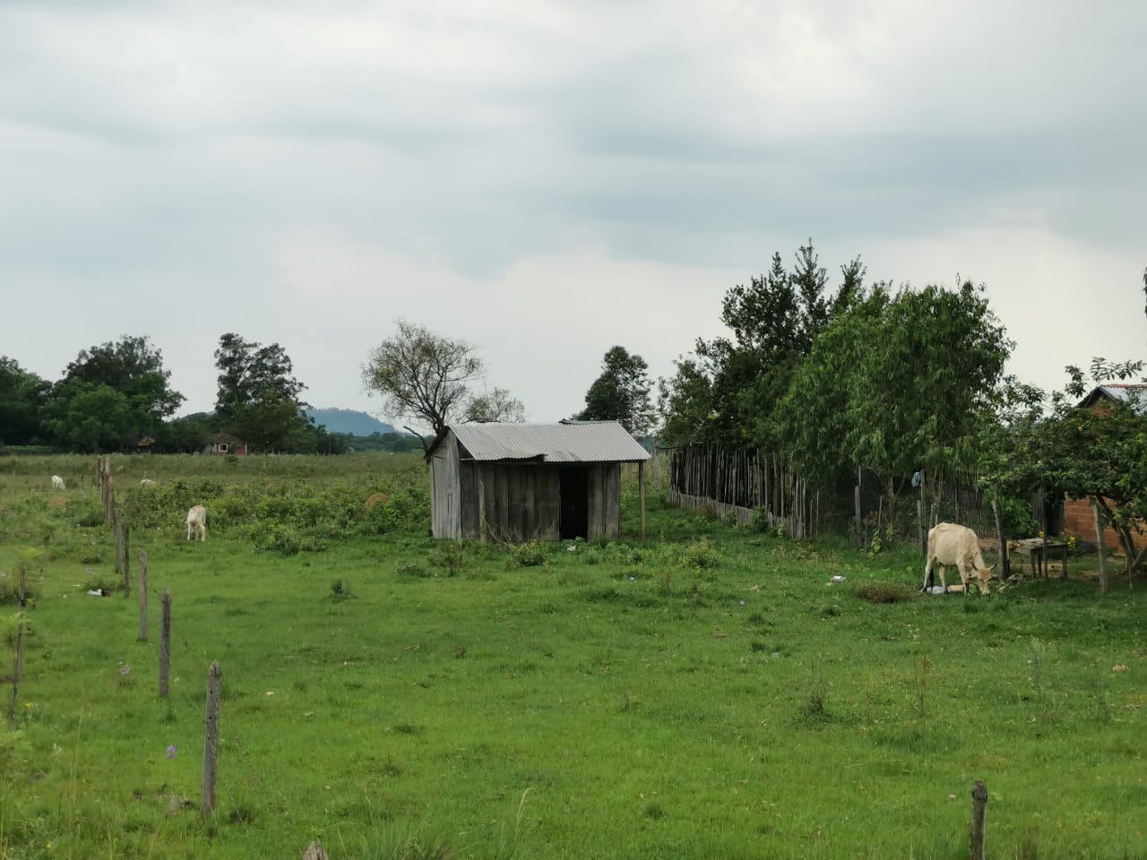 WhatsApp Image 2023-12-01 at 08.51.00