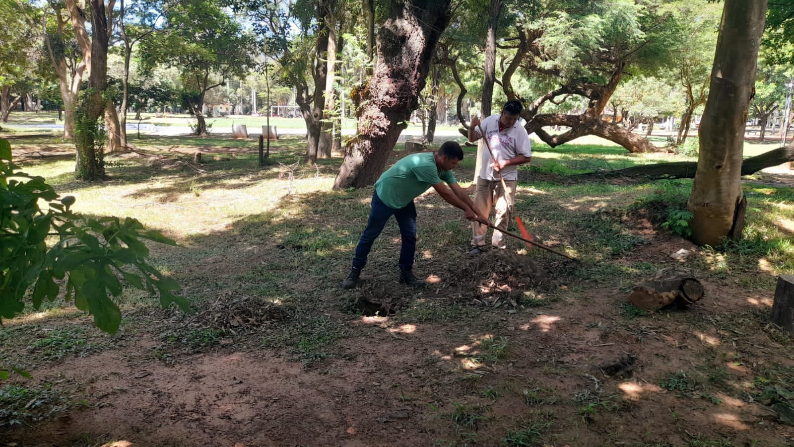 WhatsApp Image 2024-01-04 at 13.10.15 (1)