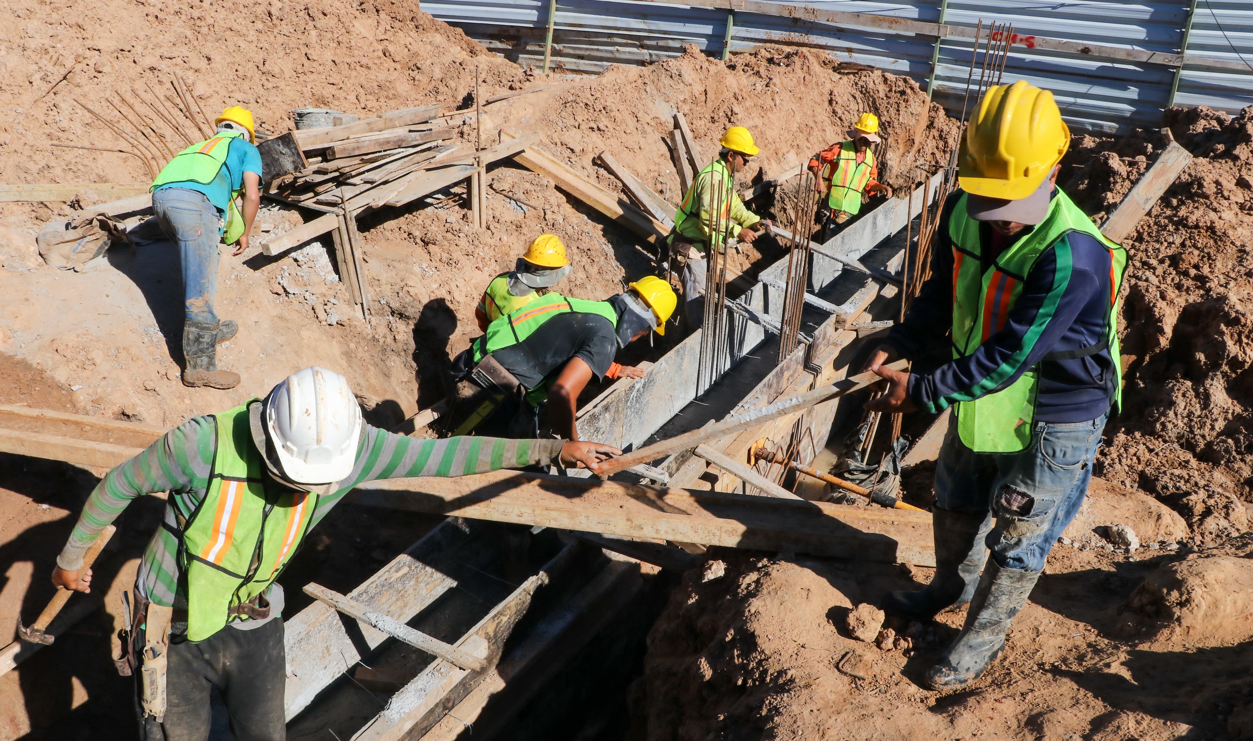 WhatsApp Image 2024-01-05 at 09.53.11