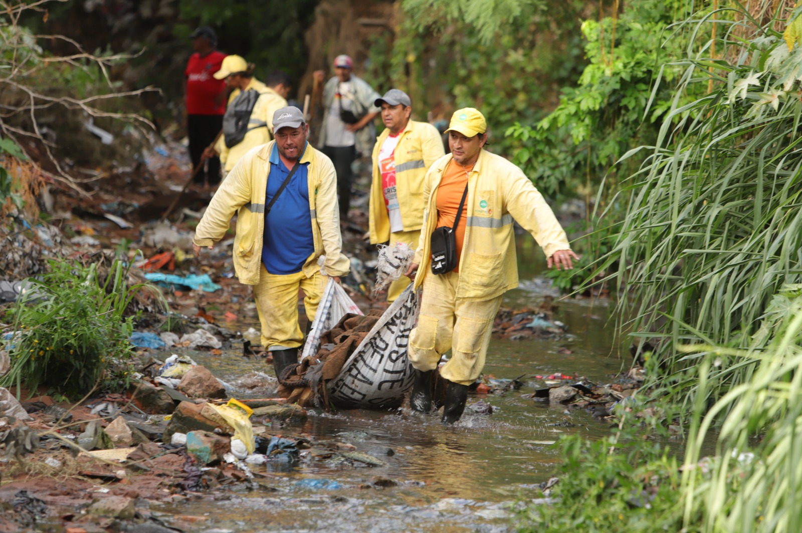 WhatsApp Image 2024-03-22 at 11.45.26