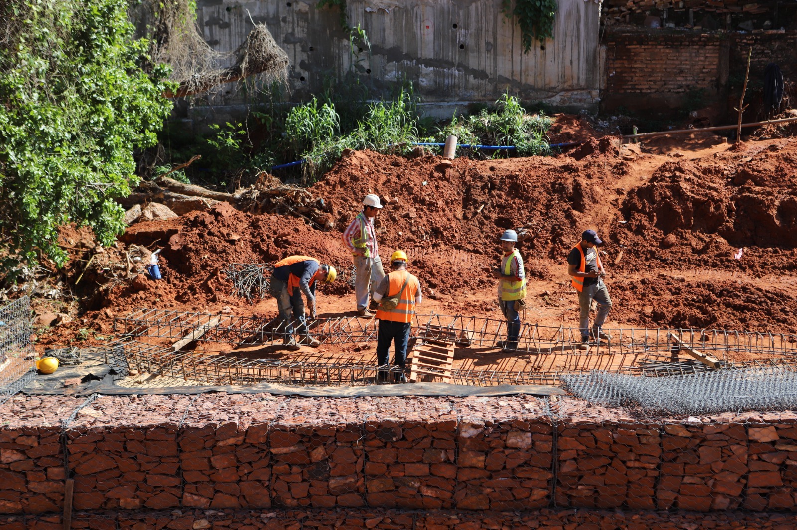 WhatsApp Image 2024-05-23 at 08.40.36