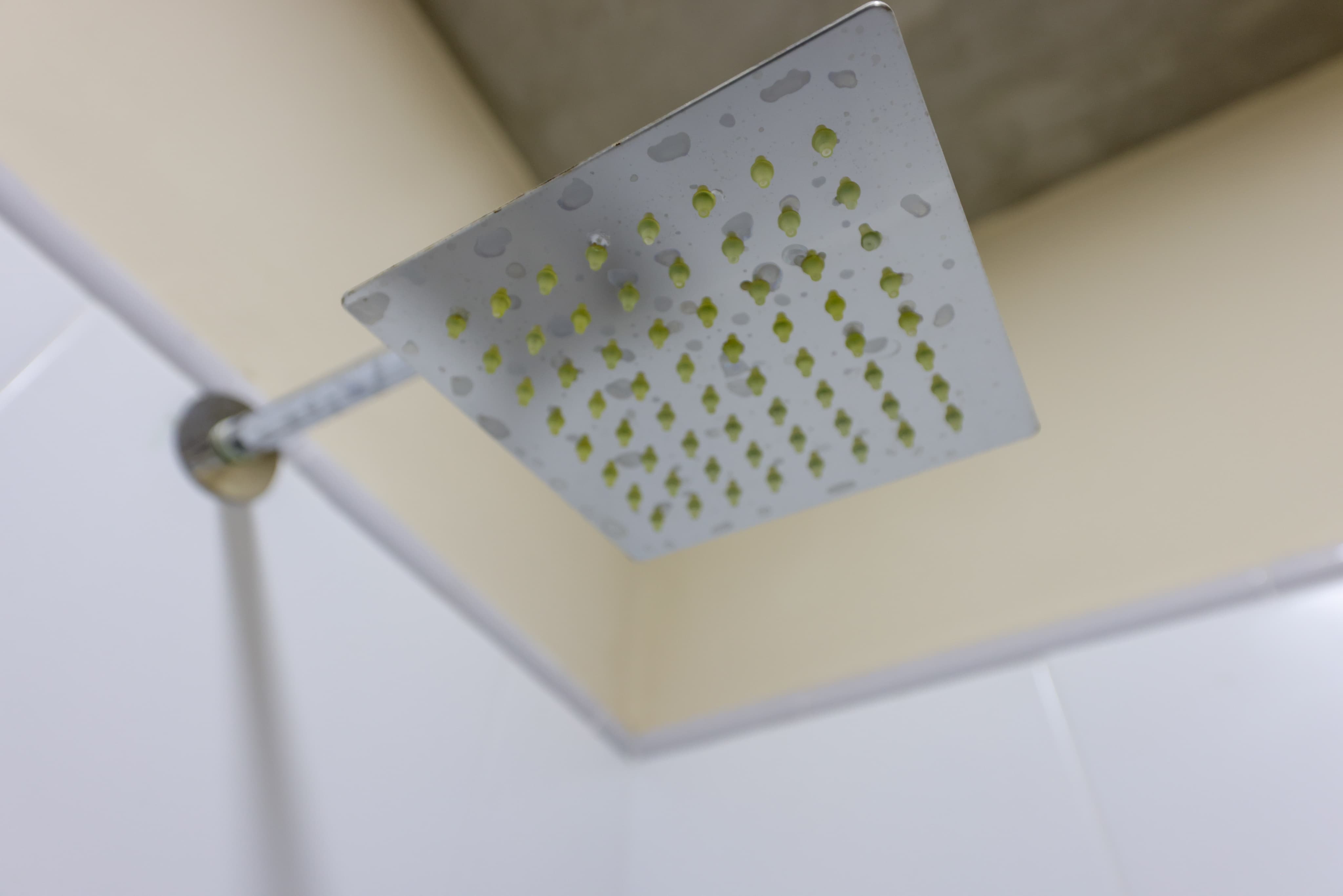 WhatsApp Image 2025-03-17 at 13.31.31 (1)