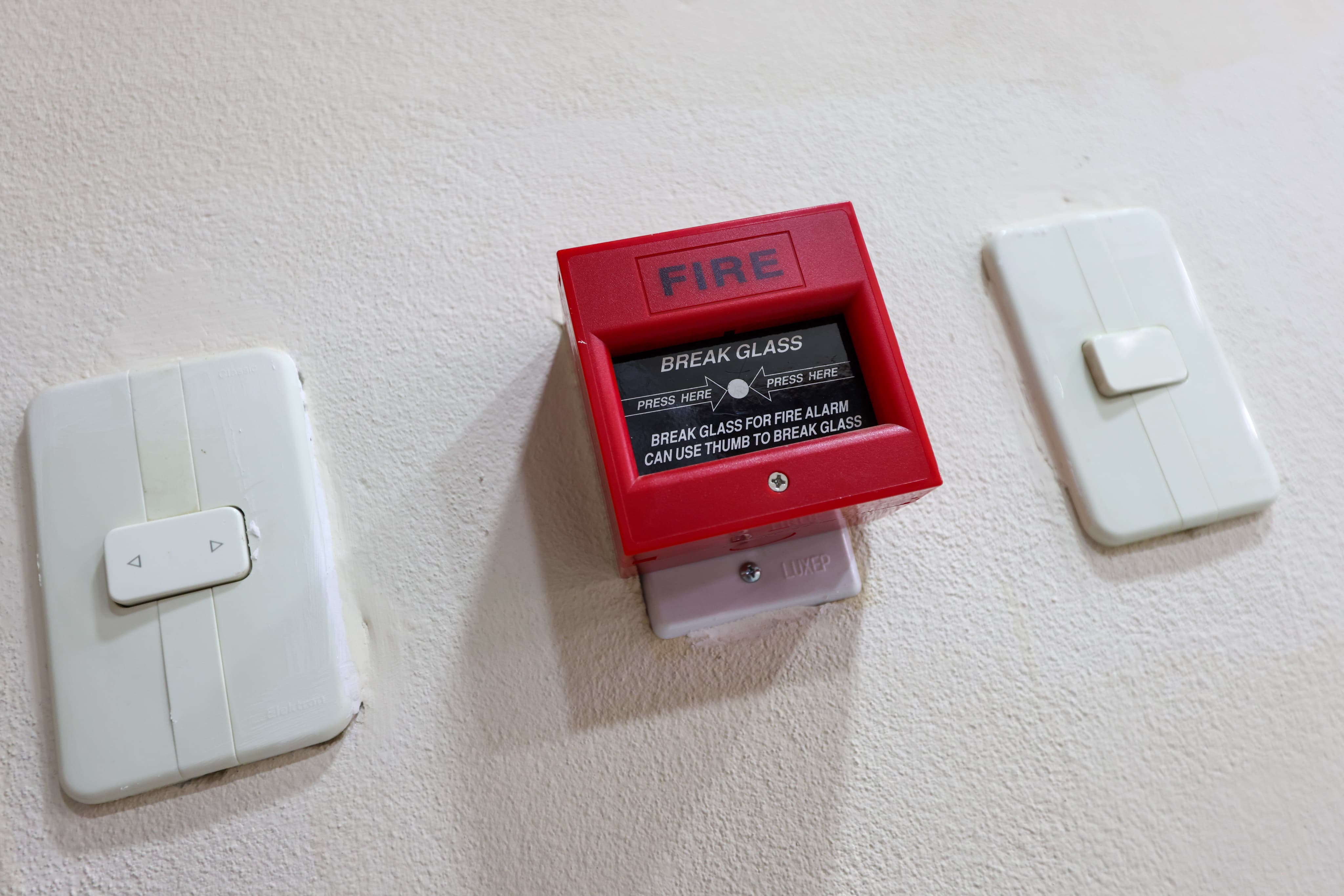 WhatsApp Image 2025-03-17 at 13.31.32 (2)