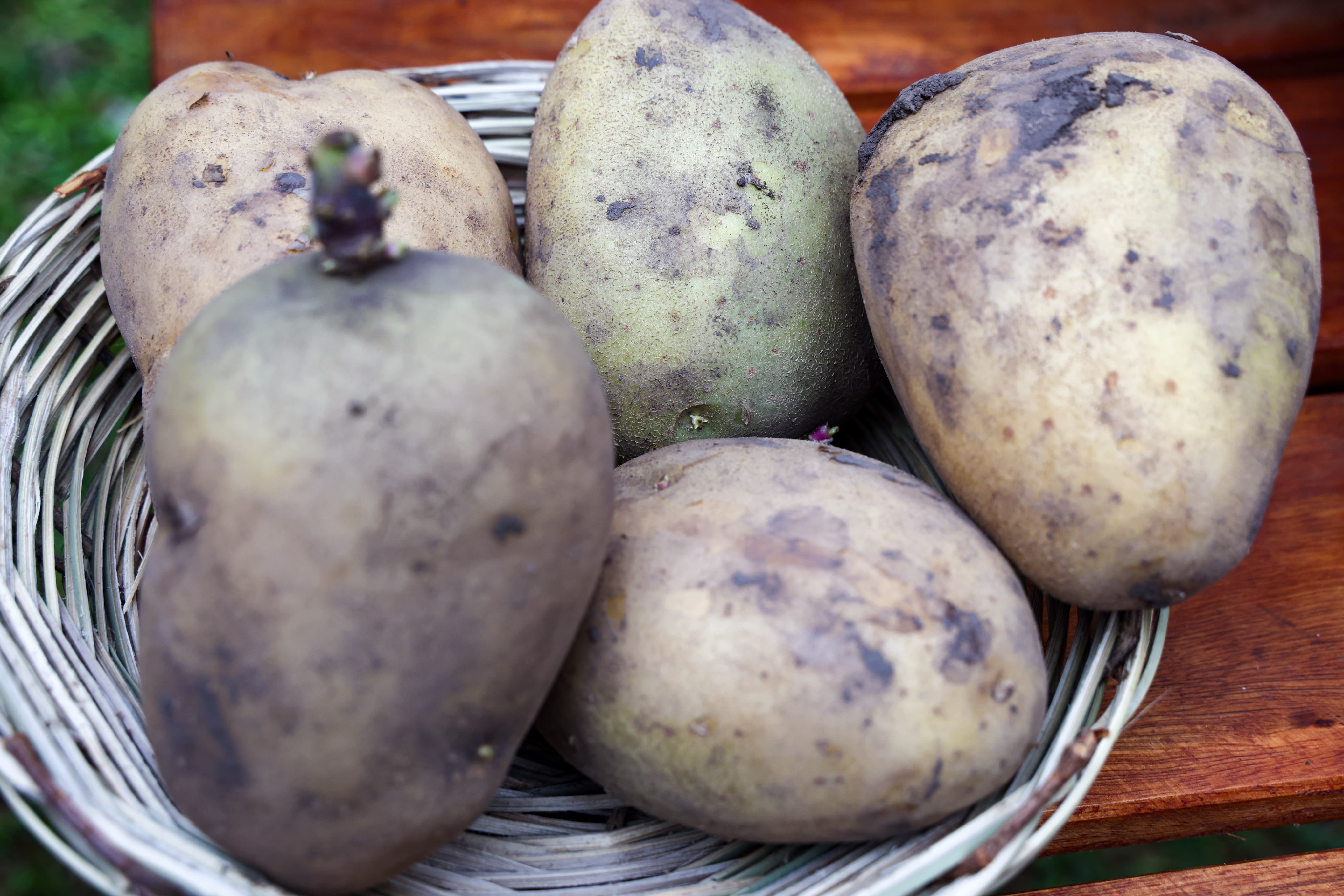 WhatsApp Image 2025-06-07 at 11.46.12 (10)