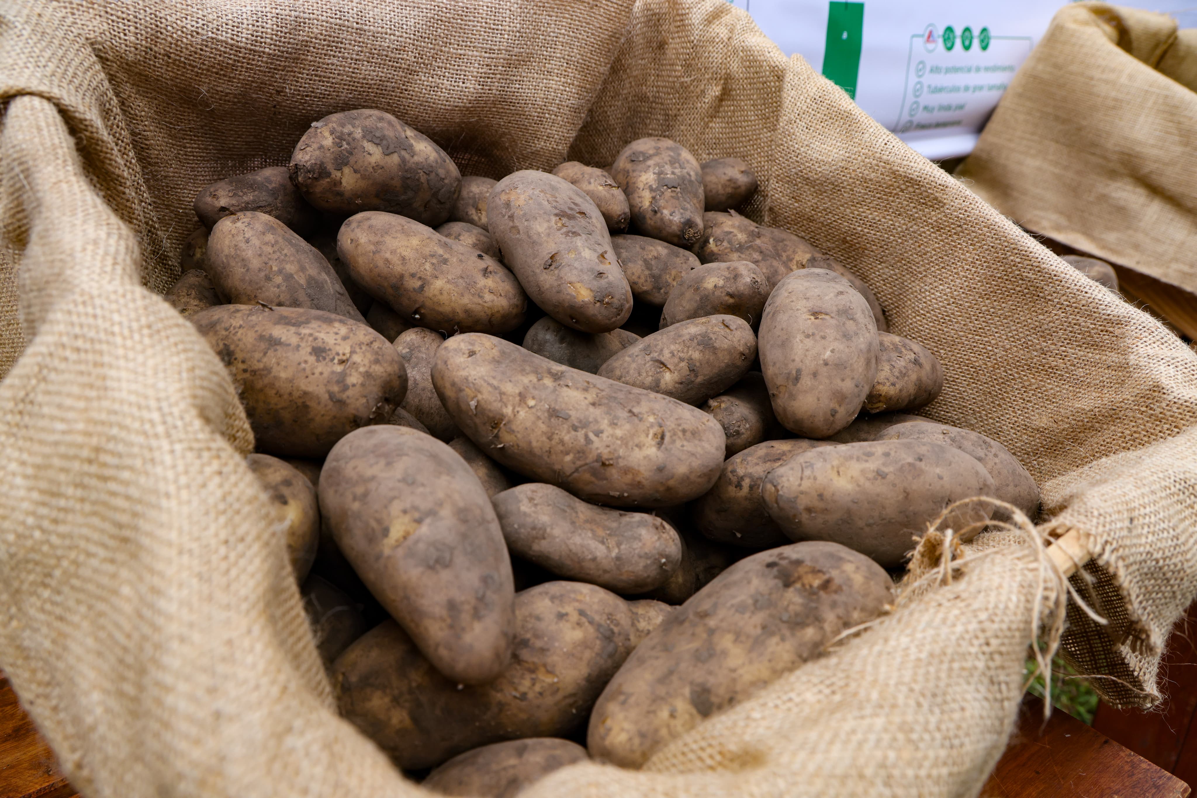 WhatsApp Image 2025-06-07 at 11.46.12 (11)