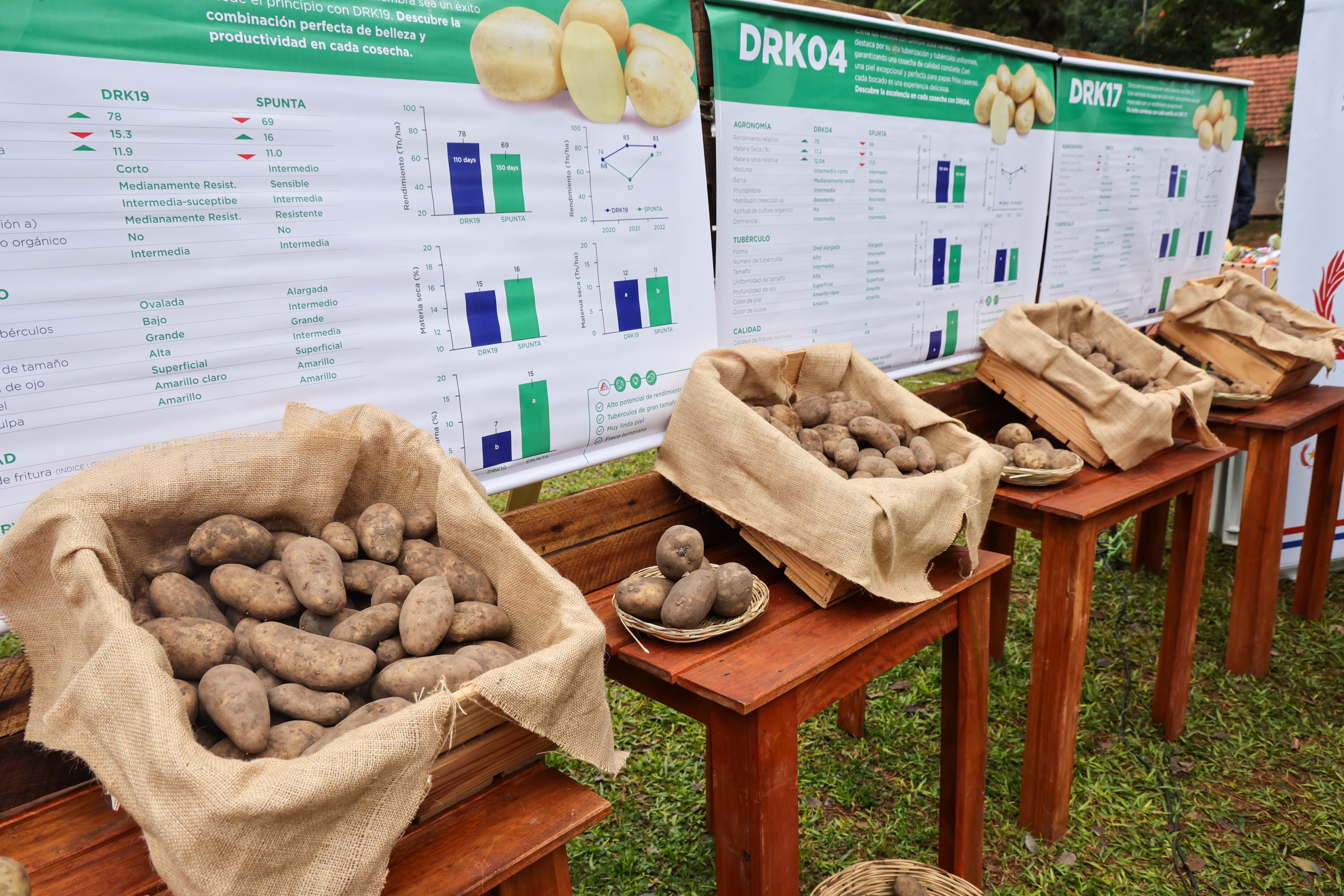 WhatsApp Image 2025-06-07 at 11.46.12 (12)