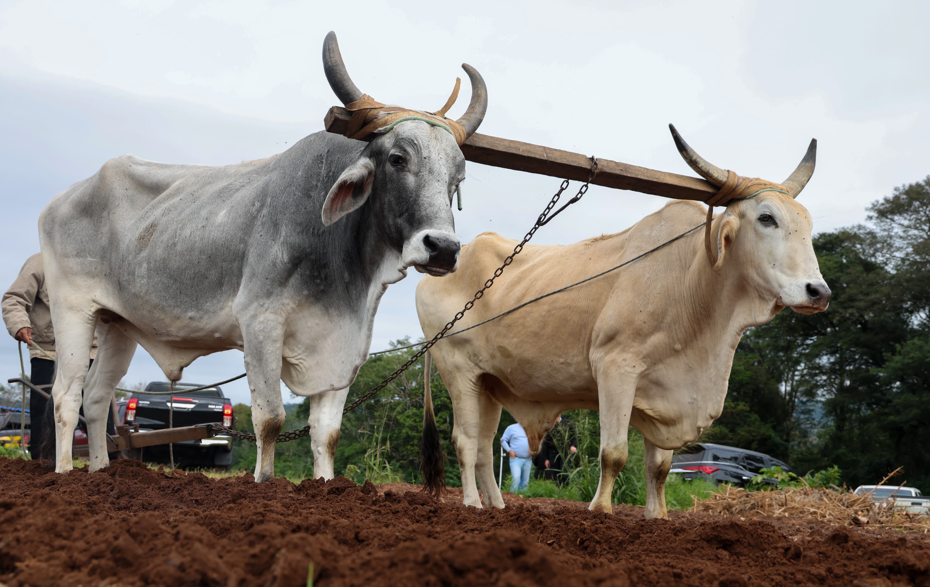 WhatsApp Image 2025-06-07 at 11.46.12 (20)