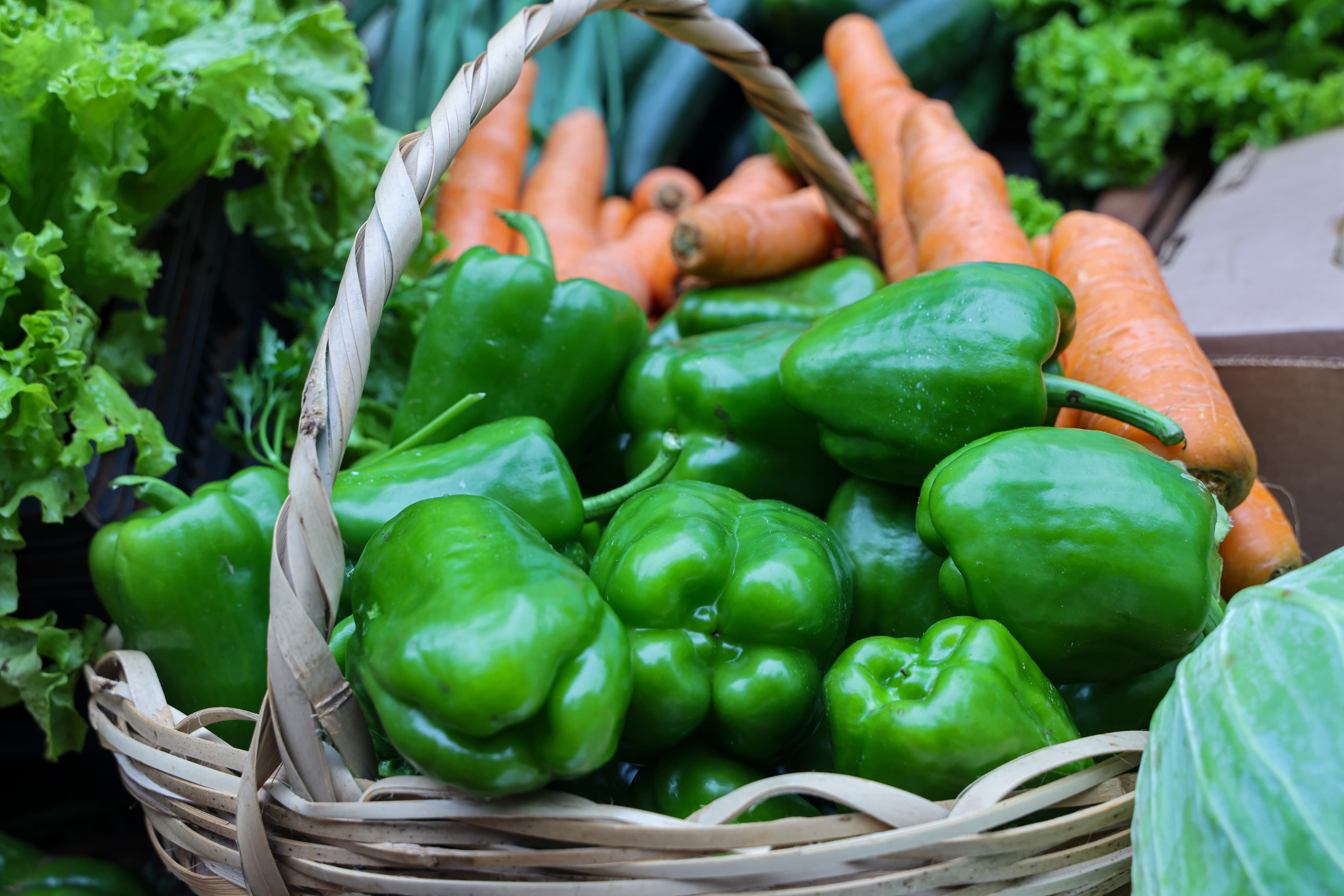 WhatsApp Image 2025-06-07 at 11.46.12 (8)