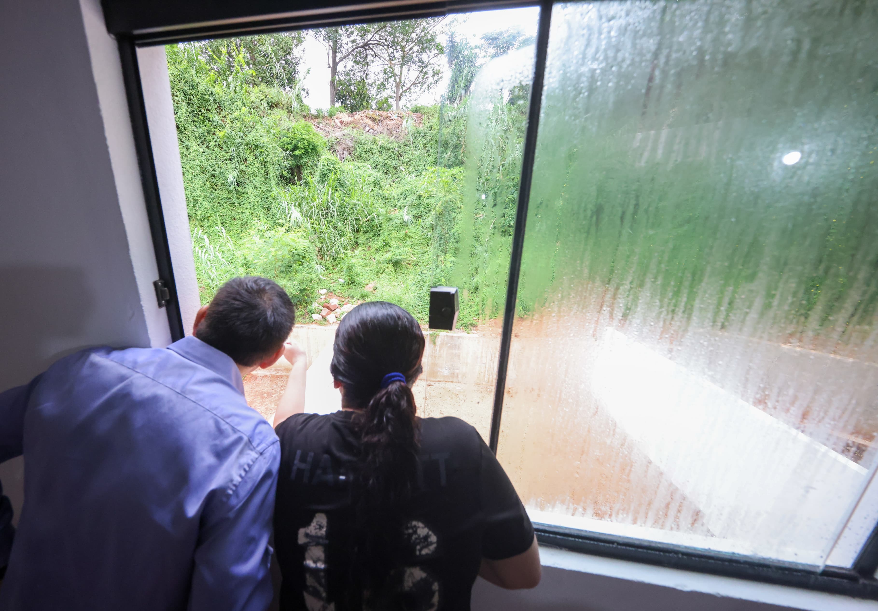 ebae943c-60e9-4285-9651-3eaab8726f17